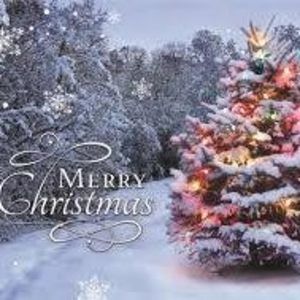 Meet your Posher, Ellen